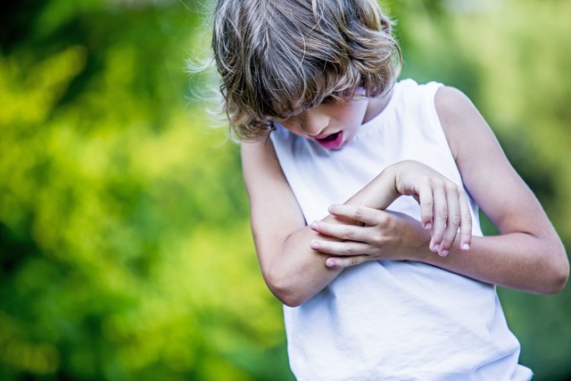 菊花和茶叶能一起泡吗