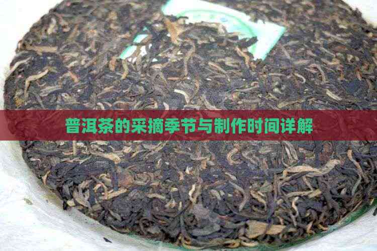 普洱茶的采摘季节与制作时间详解