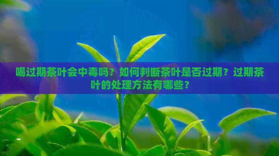 茶叶过期还能喝吗？当心中毒！3招判断变质