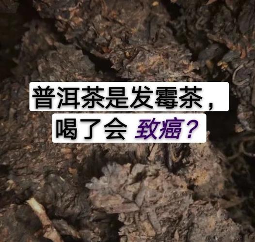 茶叶过期了能喝吗