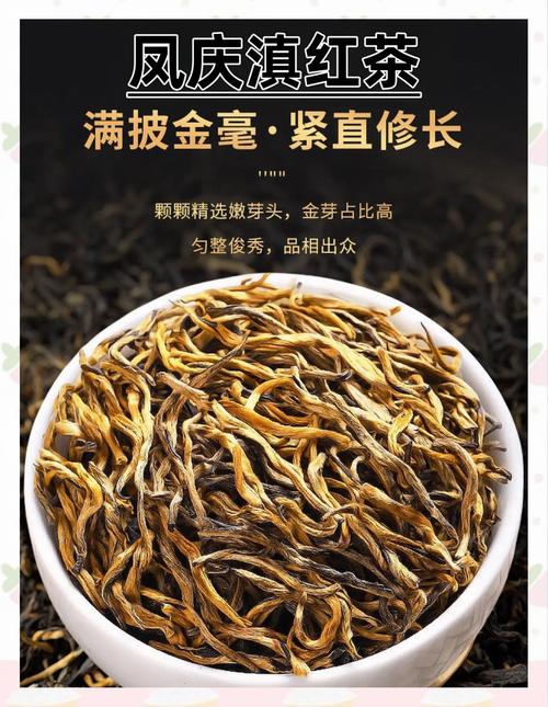 云南什么茶叶最出名