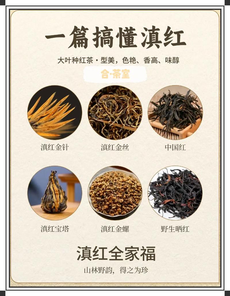 云南什么茶叶最出名