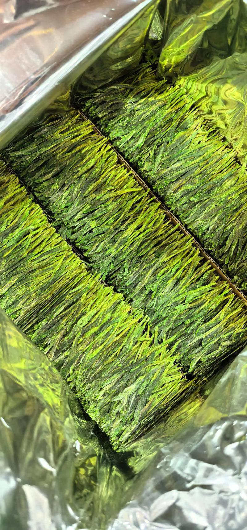 黄山毛峰真假难辨？外地茶冒充新茶，教你识别