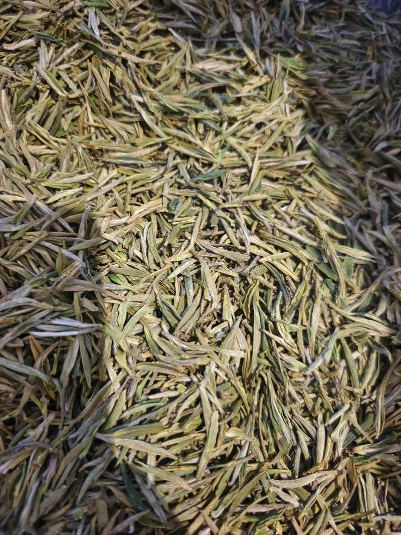 黄山茶叶有哪些品种