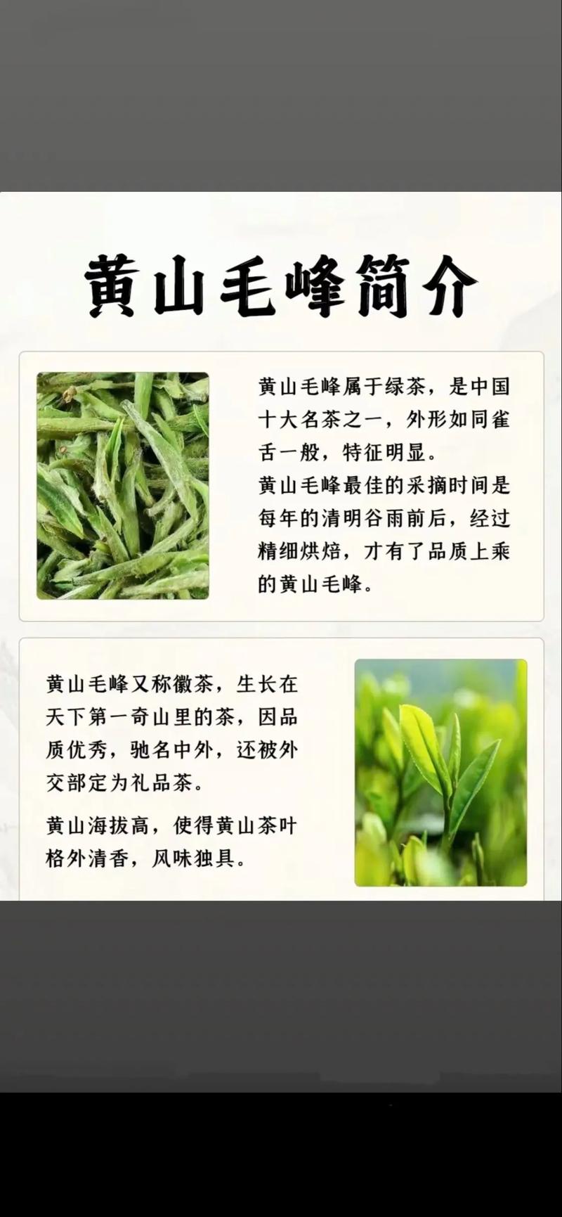 黄山茶叶有哪些品种