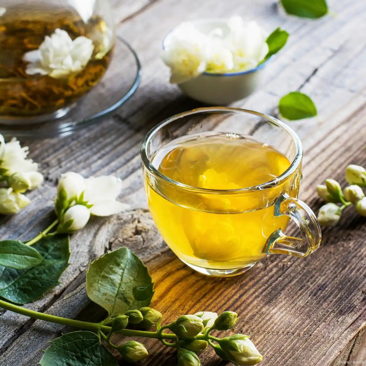 茉莉花茶是绿茶吗？花香茶选购指南