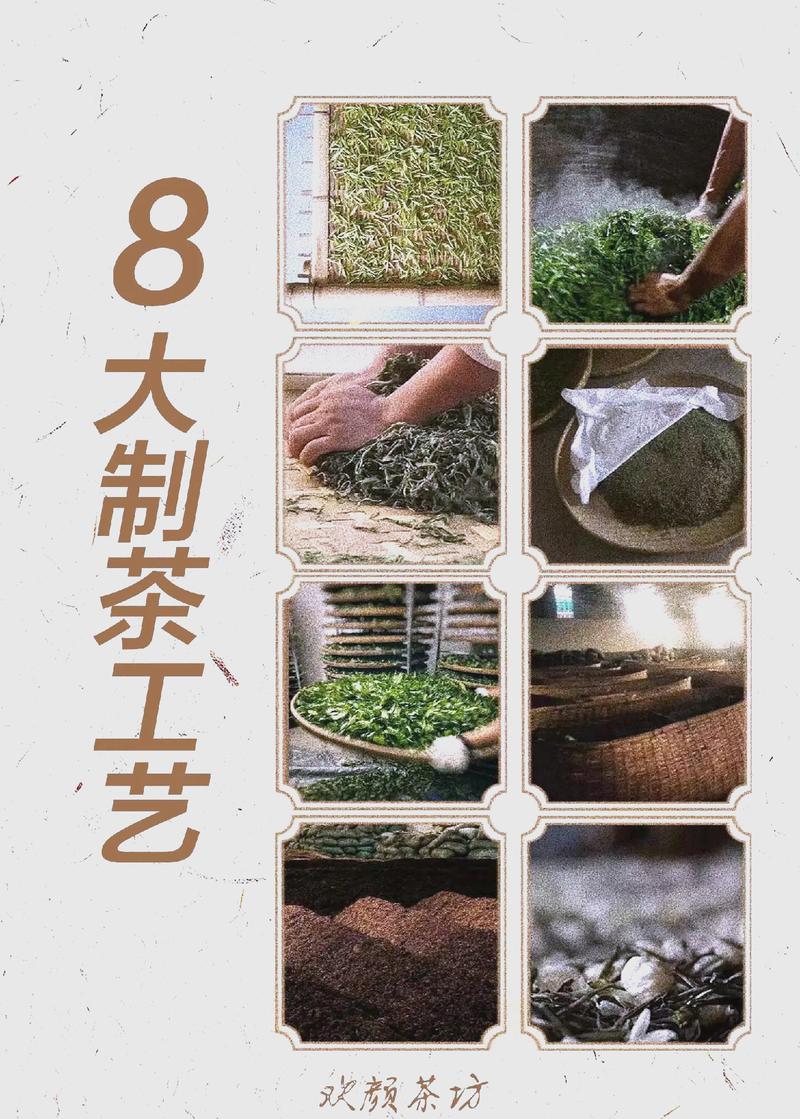 茶叶杀青：绿茶等初制工序及目的、方式、适度特征全解析