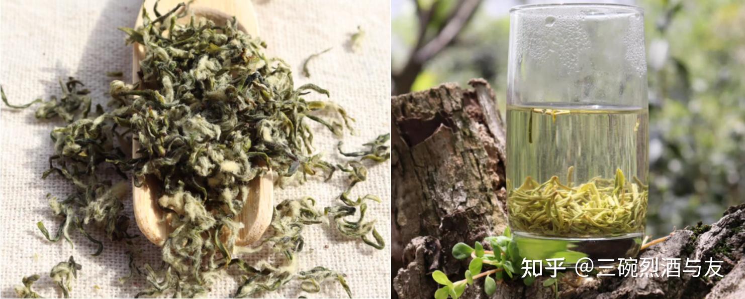 毛尖茶叶的功效与作用