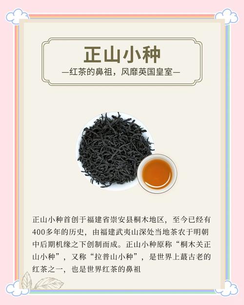 正山小种称呼变化全知道，一文带你了解茶叶背后故事