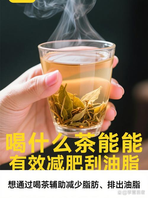 茶叶能减肥吗