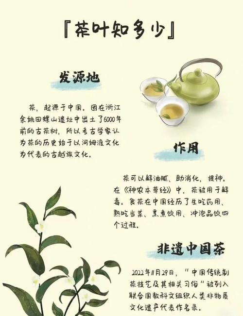 茶叶的历史