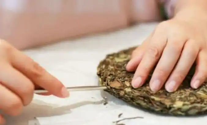 茶叶有多少种