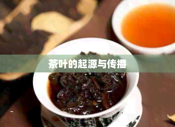 茶叶的起源与传播