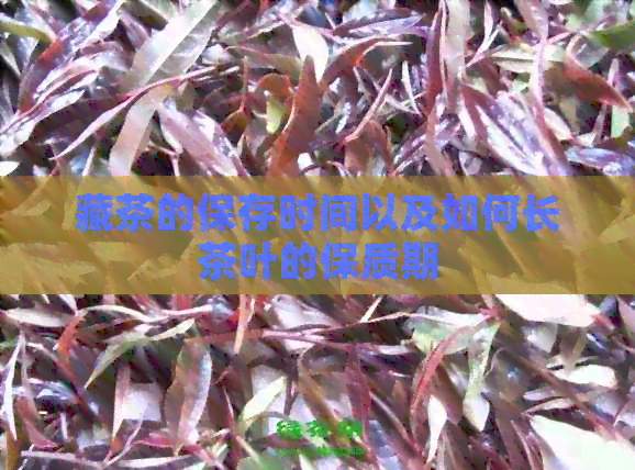 藏茶保存方法及影响保质期因素，教你延长藏茶保质期