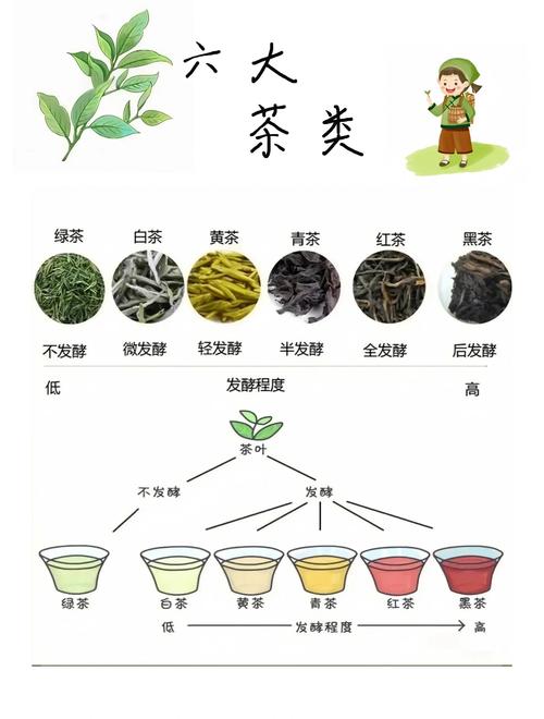 茶叶种类大全