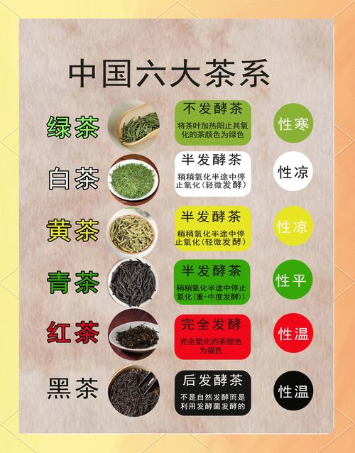 茶叶种类大全