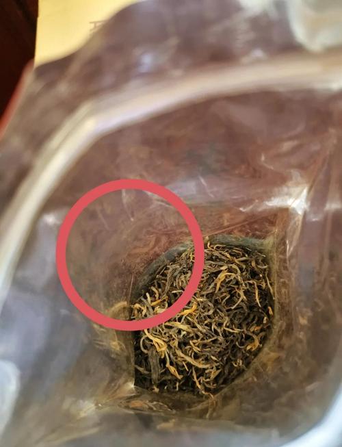 茶叶发霉图片
