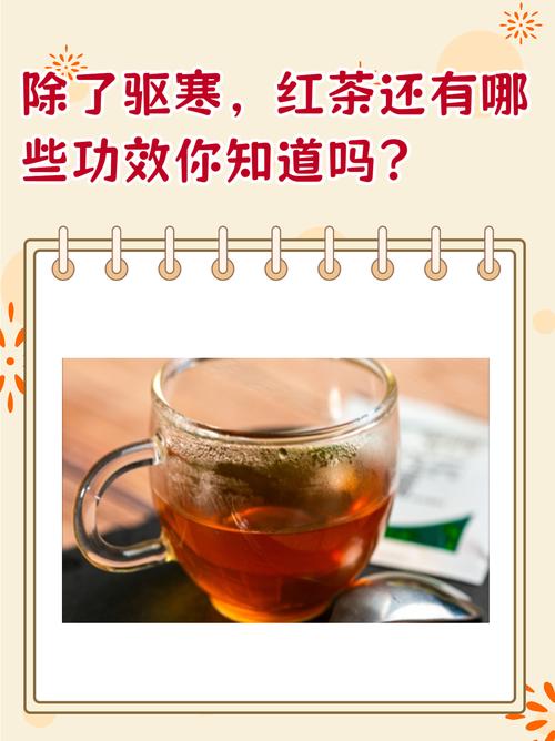 茶叶茶氨酸的功效作用