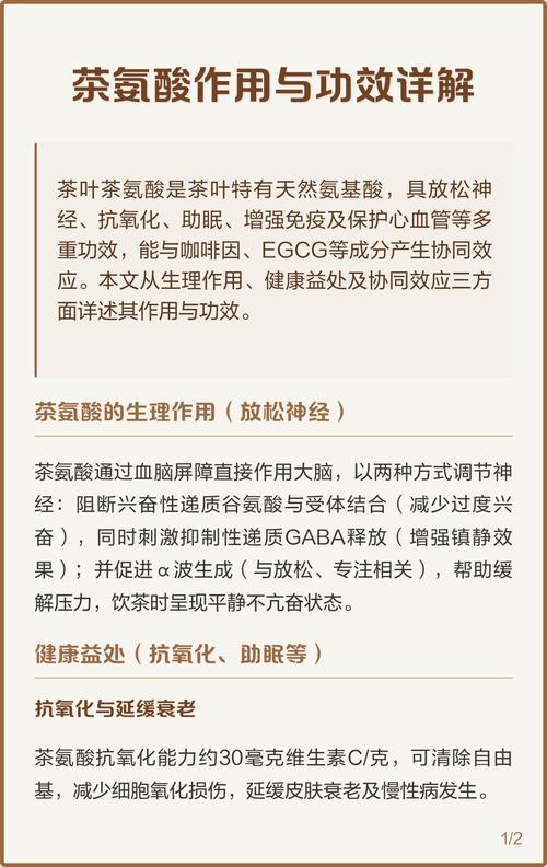 茶叶茶氨酸的功效作用
