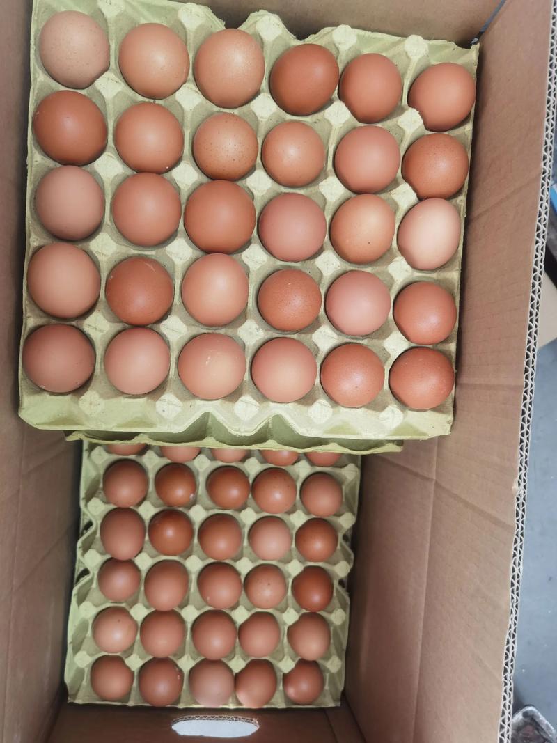 一个茶叶蛋的热量是多少