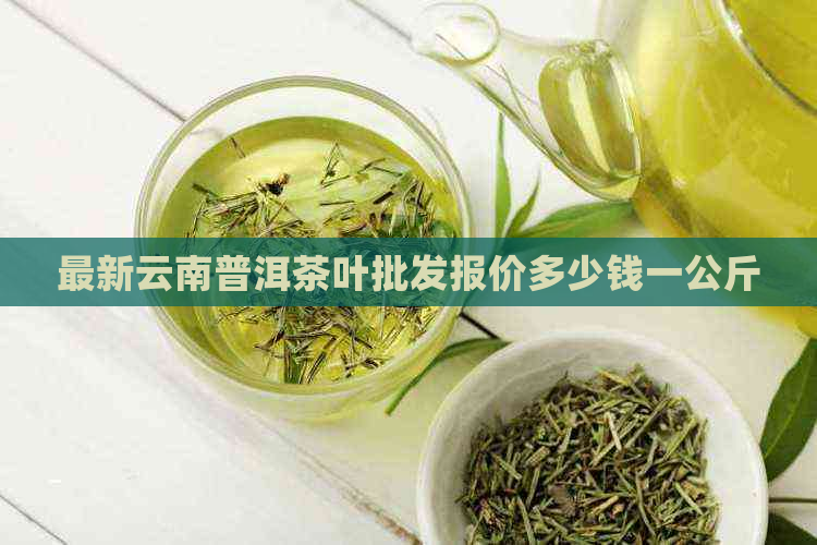 最新云南普洱茶叶批发报价多少钱一公斤