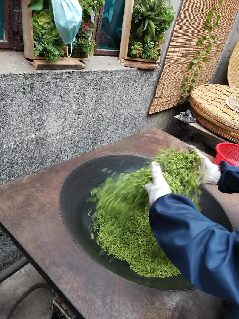 碧螺春茶叶一般多少钱一斤