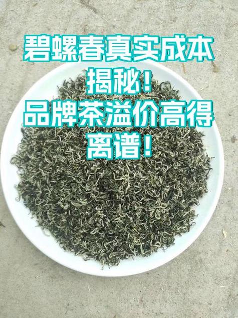 正宗洞庭山碧螺春多少钱一斤？成本揭秘及价格分析来了