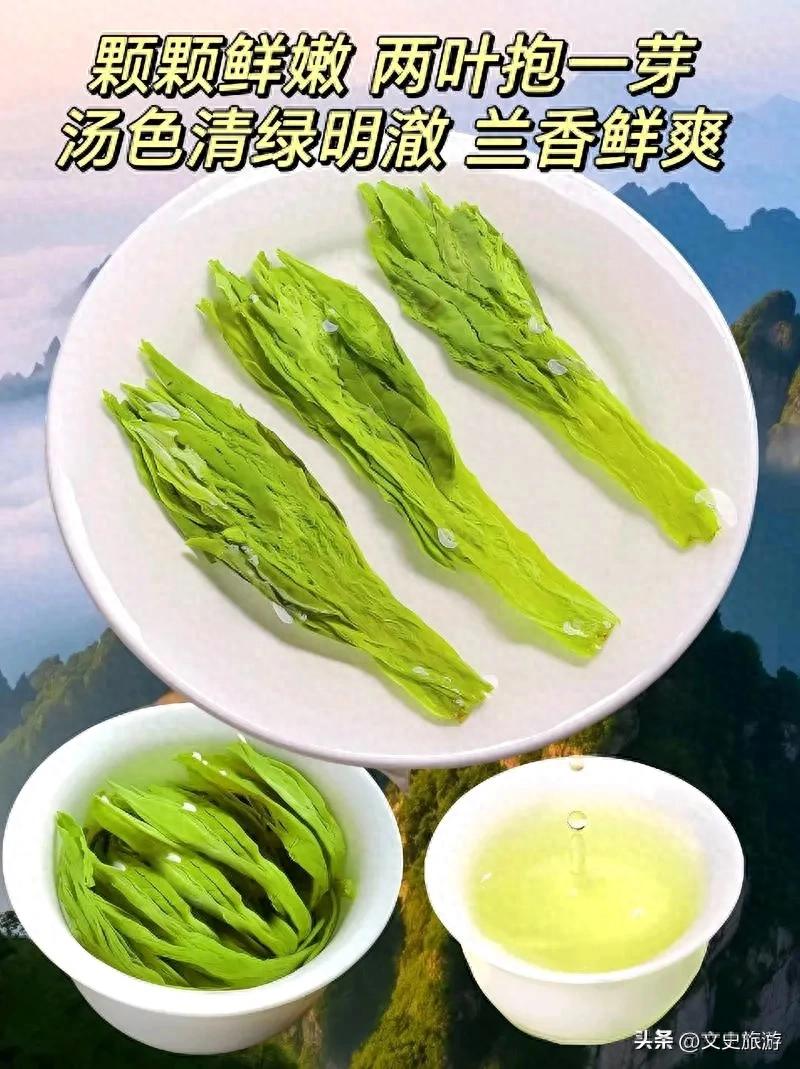 太平猴魁茶叶简介：产地、外形、口感及猴魁渊源故事
