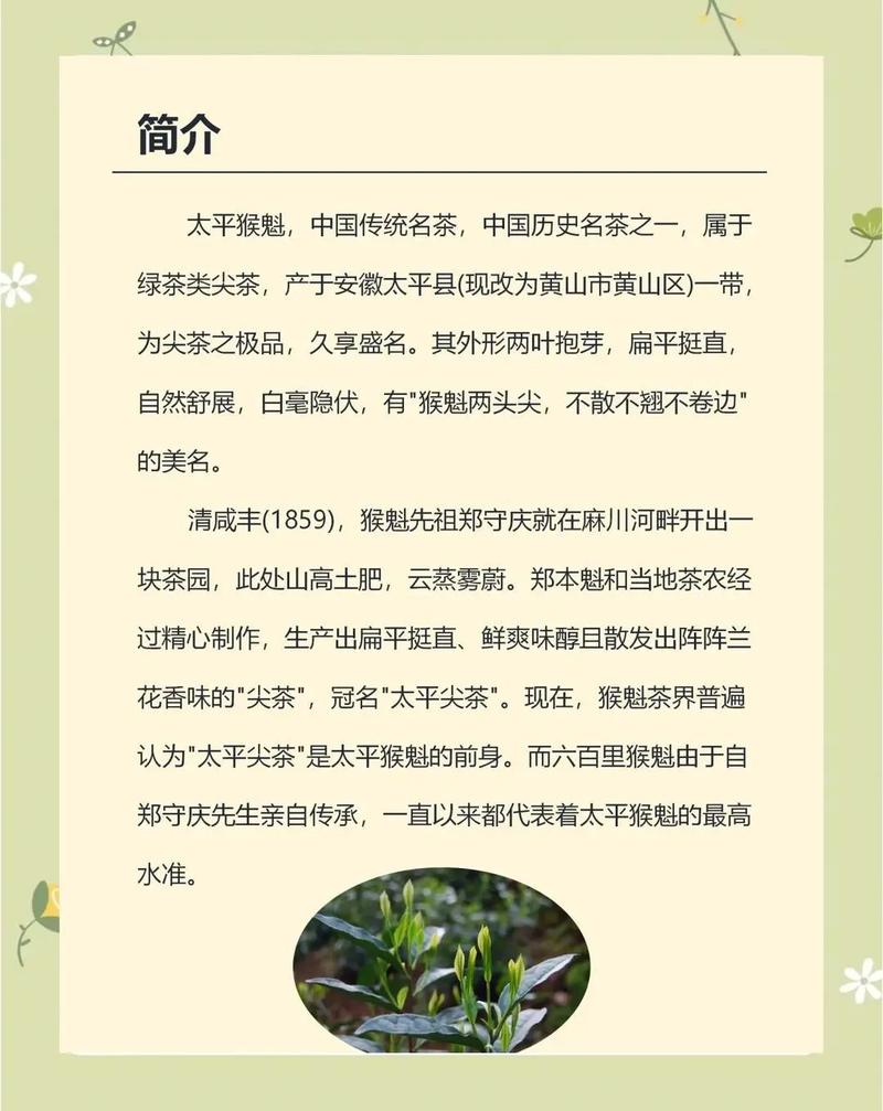 太平猴魁茶叶简介