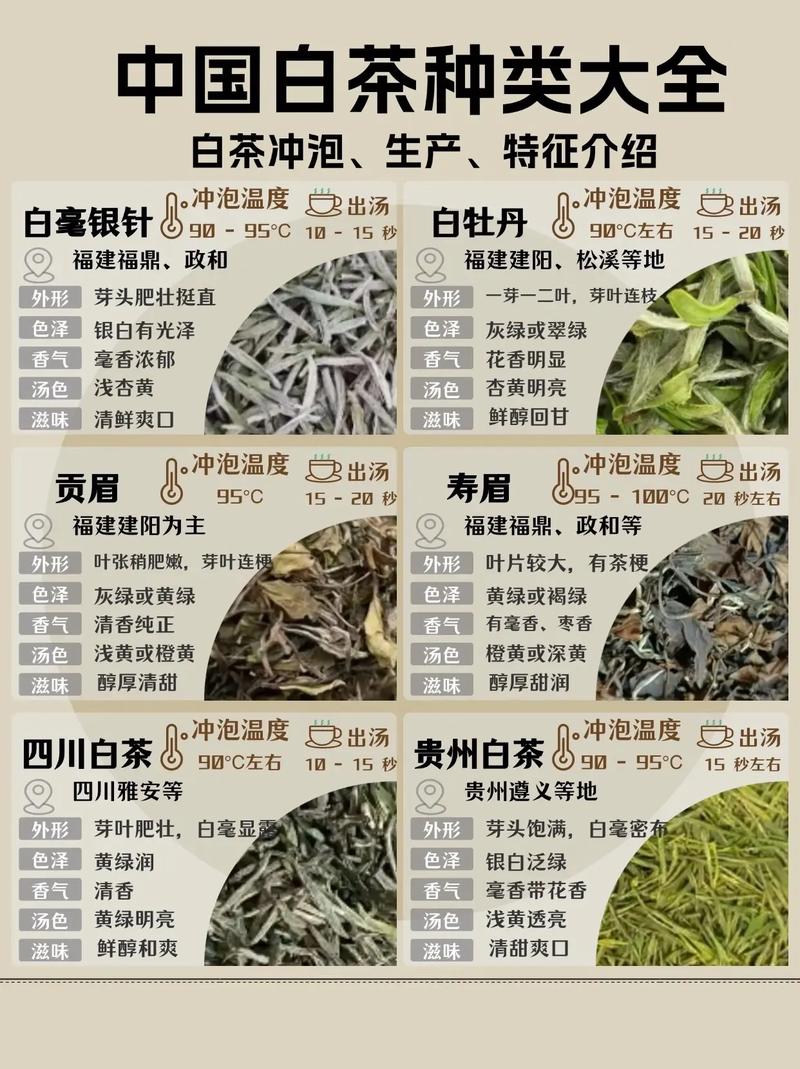 茶叶并非越嫩越好？白茶各品种等级与原料嫩度的关系