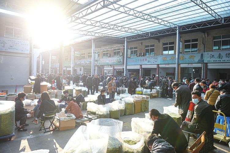浙南茶叶批发市场