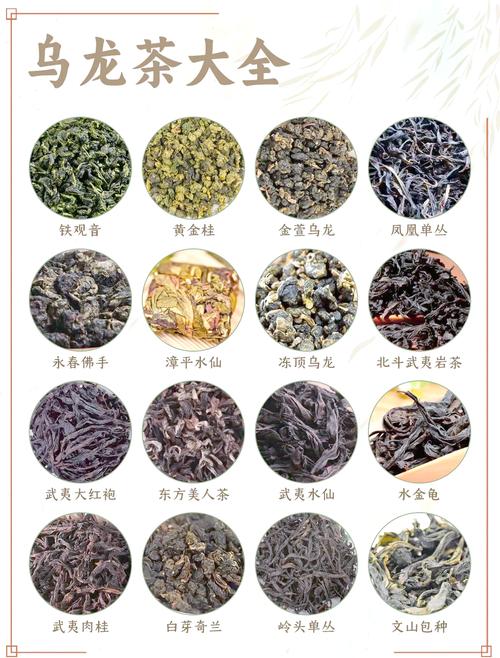 茶叶最佳品味期及保质期，绿茶白茶黄茶乌龙茶有何不同？