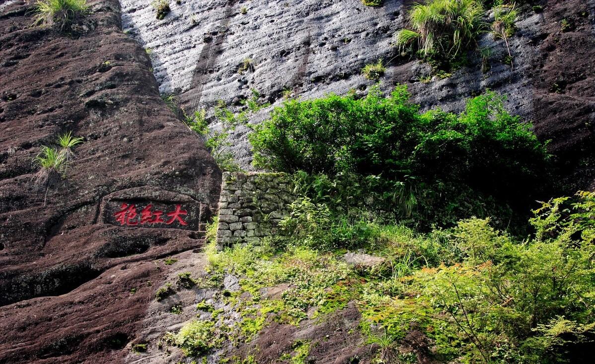 大红袍茶叶是红茶吗