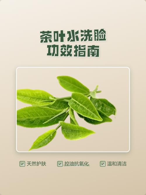 茶叶水洗脸有什么好处