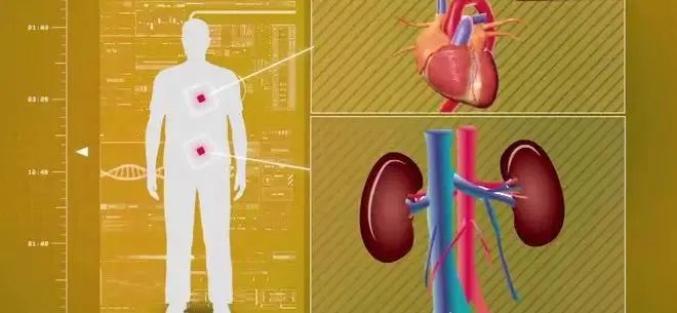 过了保质期的茶叶还能喝吗