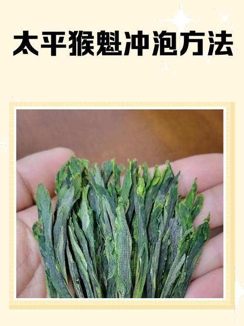 猴魁茶冲泡方法简单易学，教你轻松泡出美味茶汤