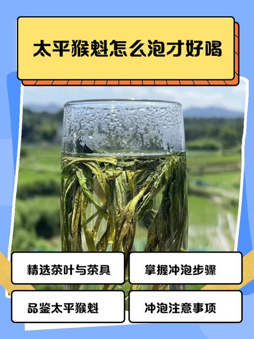 猴魁茶叶的冲泡方法