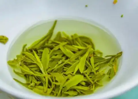 想知道茶叶保质期多久？过了期还能喝吗？速看