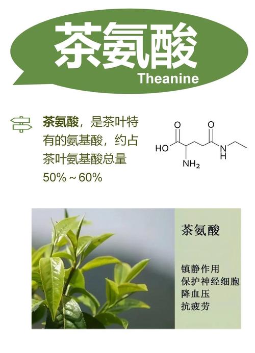 茶叶茶氨酸