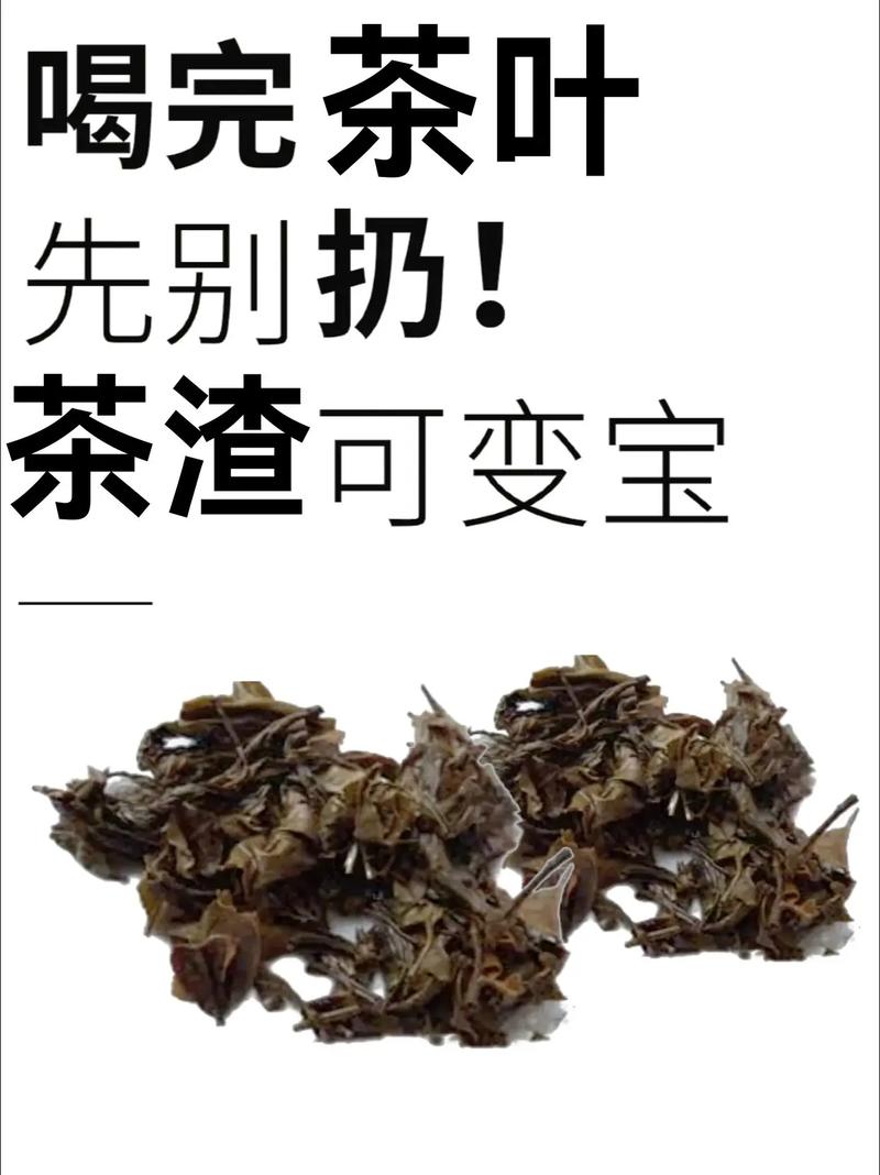 过期茶叶的八大妙用