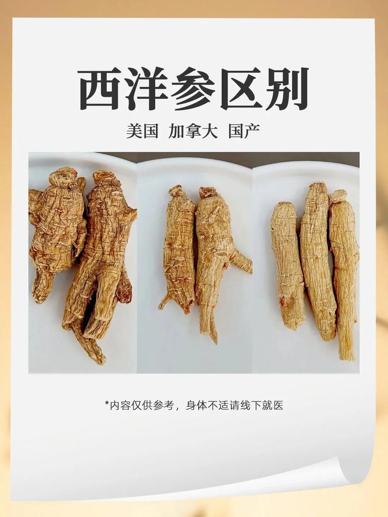 西洋参和茶叶能一起泡吗