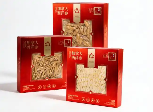 西洋参和茶叶能一起泡吗