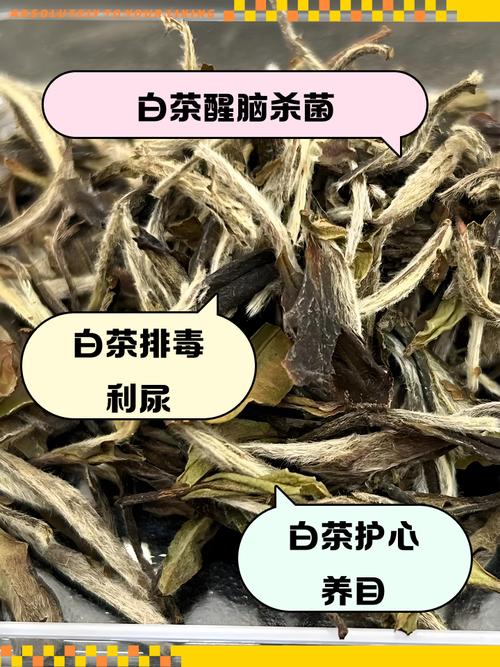 过夜茶叶可以喝吗