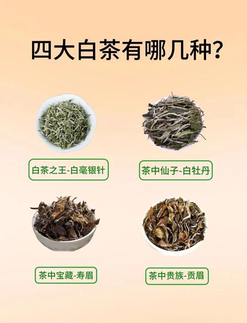 茶叶含有咖啡因吗