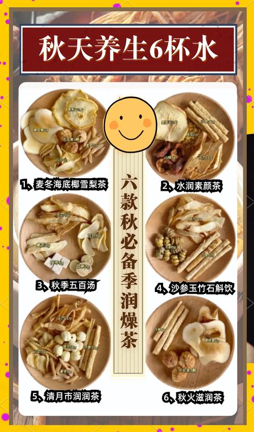 煮茶用什么茶叶