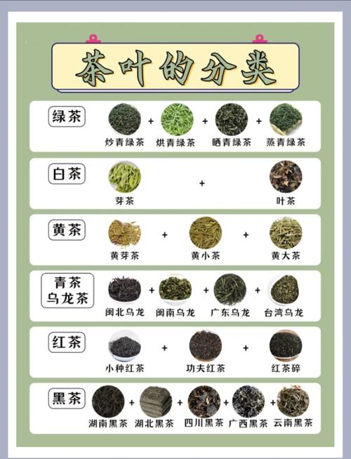茶叶的品种和名称大全