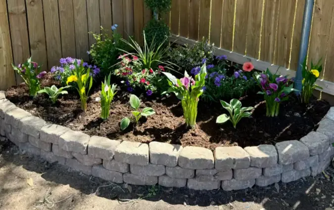 养花人注意！用茶水浇花的3大雷区，你踩过几个？