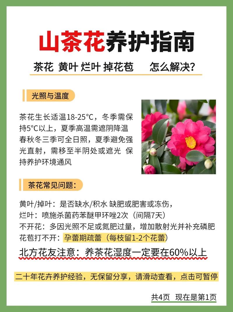 茶叶水能浇花吗