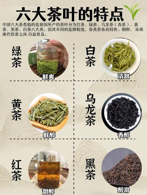 茶叶的品种和名称大全