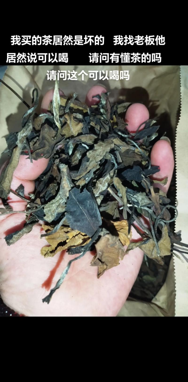 茶叶长白毛了还能喝吗？普洱熟茶发霉别急扔
